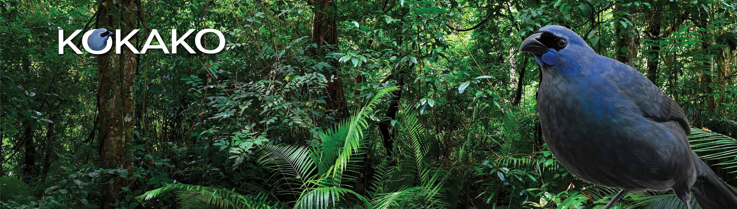 Concept for the Pacific Rise entrance wall: a full-width native forest scene with a kokako perched at the right